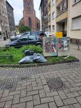 Bild zu gemeldetem Anliegen vom *2025-04-25 21:04:44