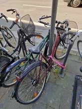 Bild zu gemeldetem Anliegen vom *2025-04-14 16:05:42