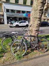 Bild zu gemeldetem Anliegen vom *2025-04-14 16:13:36