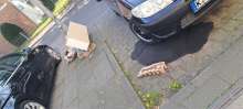 Bild zu gemeldetem Anliegen vom *2025-04-09 18:00:38