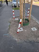 Bild zu gemeldetem Anliegen vom *2025-04-07 06:30:32