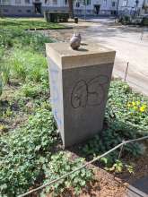 Bild zu gemeldetem Anliegen vom *2025-04-14 13:00:31