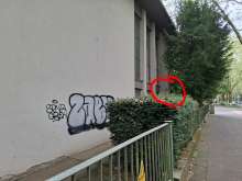 Bild zu gemeldetem Anliegen vom *2025-04-22 11:07:27