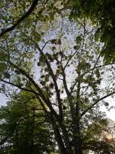 Bild zu gemeldetem Anliegen vom *2025-04-25 18:29:45
