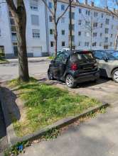 Bild zu gemeldetem Anliegen vom *2025-04-09 12:30:03