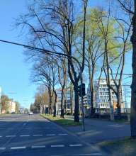 Bild zu gemeldetem Anliegen vom *2025-04-06 21:28:09