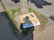 Bild zu gemeldetem Anliegen vom *2025-04-28 12:37:48