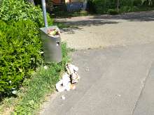 Bild zu gemeldetem Anliegen vom *2025-04-28 12:42:39