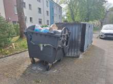 Durchgebrochener Müllcontainer.om *2025-04-25 15:27:07