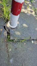 Bild zu gemeldetem Anliegen vom *2025-04-30 13:19:22