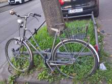 Bild zu gemeldetem Anliegen vom *2025-04-04 12:30:18
