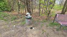 Bild zu gemeldetem Anliegen vom *2025-04-13 15:27:49