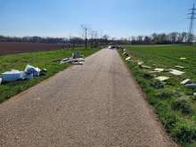 Bild zu gemeldetem Anliegen vom *2025-04-03 15:33:09