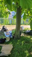 Bild zu gemeldetem Anliegen vom *2025-04-26 15:33:27