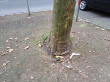 Bild zu gemeldetem Anliegen vom *2025-04-04 12:30:18