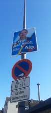 Bild zu gemeldetem Anliegen vom *2025-04-04 15:29:26