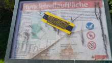 Bild zu gemeldetem Anliegen vom *2025-04-06 16:23:28