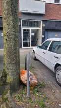 Bild zu gemeldetem Anliegen vom *2025-04-09 07:21:24