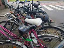 Bild zu gemeldetem Anliegen vom *2025-04-19 13:36:18