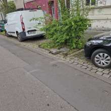 Bild zu gemeldetem Anliegen vom *2025-04-23 12:27:34