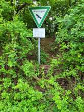 Bild zu gemeldetem Anliegen vom *2025-04-22 15:36:00