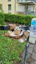 Bild zu gemeldetem Anliegen vom *2025-04-23 21:32:32