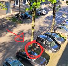 Bild zu gemeldetem Anliegen vom *2025-04-26 18:31:59