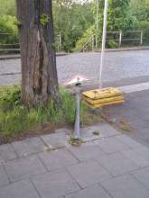 Bild zu gemeldetem Anliegen vom *2025-04-30 10:22:46