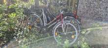 Bild zu gemeldetem Anliegen vom *2025-04-01 10:21:19