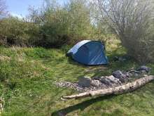 Wildcamper, auf der Zunge Richtung Severinsbrücke, die letzte Bauminsel;unter starkem Alkoholeinfluss, Vermüllung, Abreissen der Busche usw. *025-04-08 12:31:46