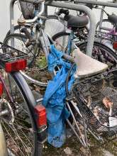 Bild zu gemeldetem Anliegen vom *2025-04-21 15:32:51