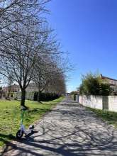 Die Bäume sind nunmehr so groß und ragen in den Fahrrad und Gehweg!!! Sie brauchen dringend einen ordentlichen Schnitt! Die Kollegen vom Grünflächenamt haben dies die Tage auch gemerkt, als sie die Rasenflächen um die Bäume gemäht haben. Anliegen vom *2025-04-19 12:32:43