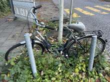 Bild zu gemeldetem Anliegen vom *2025-04-24 08:51:57