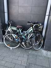 Bild zu gemeldetem Anliegen vom *2025-04-07 12:29:06