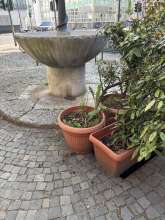 Bild zu gemeldetem Anliegen vom *2025-04-29 09:27:40