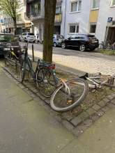 Bild zu gemeldetem Anliegen vom *2025-04-08 15:30:53