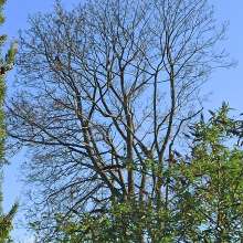 Bild zu gemeldetem Anliegen vom *2025-04-26 15:33:27