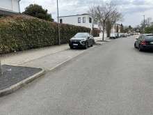 Geschotterte Baumscheiben in Lövenich (Bild zu gemeldetem Anliegen vom *2025-04-09 09:31:19)