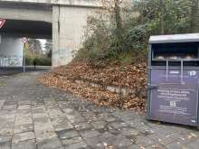 Auf beiden Seiten der Moltkestraße: Der halbe Gehweg ist seit Jahren durch geschnitteres Grün der Böschung (viel Brombeerzweige mit Stacheln) und Laub so bedeckt, dass schon neue Pflanzen auf den Betonsteinen und in Asphaltritzen wachsen und Komposterde entsteht. Weder die Deutsche Bahn noch die Freiwillige Feuerwehr fühlt sich zuständig. 