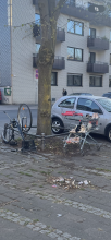 Bild zu gemeldetem Anliegen vom *2025-04-01 08:43:40