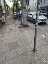 Bild zu gemeldetem Anliegen vom *2025-04-26 12:28:37