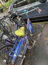 Bild zu gemeldetem Anliegen vom *2025-04-28 12:35:26