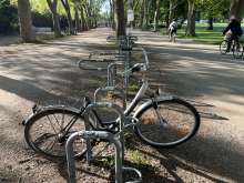 Bild zu gemeldetem Anliegen vom *2025-04-28 12:56:38