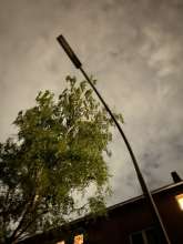 Bild zu gemeldetem Anliegen vom *2025-04-21 21:31:20
