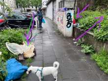 Bild zu gemeldetem Anliegen vom *2025-04-24 19:38:01