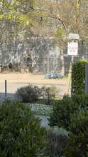 Bild zu gemeldetem Anliegen vom *2025-04-09 12:30:03