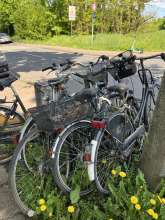 Bild zu gemeldetem Anliegen vom *2025-04-27 09:28:06