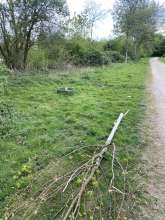 Bild zu gemeldetem Anliegen vom *2025-04-13 15:27:49