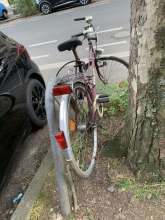 Bild zu gemeldetem Anliegen vom *2025-04-22 07:31:25