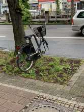 Bild zu gemeldetem Anliegen vom *2025-04-23 09:27:37